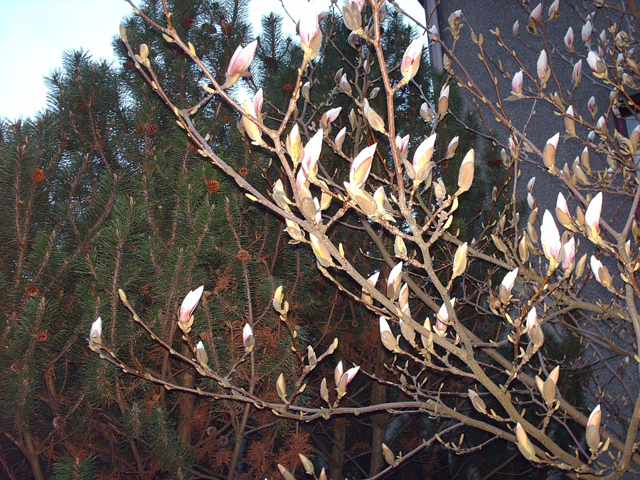 000215 (13)